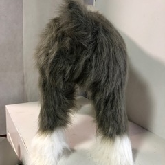 天)アニマルスツール シープドッグ 犬の画像