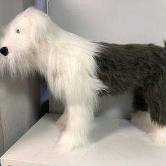 天)アニマルスツール シープドッグ 犬の画像