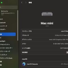 Mac mini（2018）256GB/8GB〈MRTT2J/A〉⑤の画像