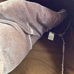 お取引中　ペット　ドーム　犬猫　ハウス　マットの画像