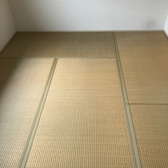 畳の画像