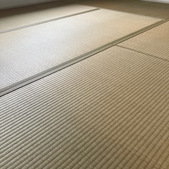 畳の画像