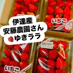 希少🍓ゆきララ・けんたろう入荷しました✨