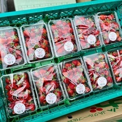 北海道産🍓けんたろう入荷しました✨