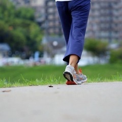 歩く🚶歩く🚶‍♀️どこまでも