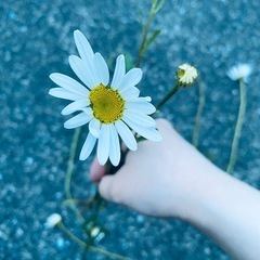 〜友達募集〜
