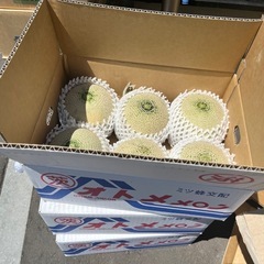 茨城県産青肉🍈オトメメロン入荷しました✨