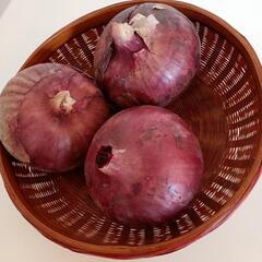 赤玉ねぎ(紫玉ねぎ)３個