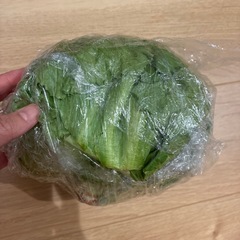 野菜(相談中