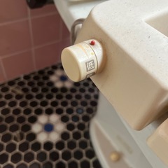 急募！水洗トイレの画像