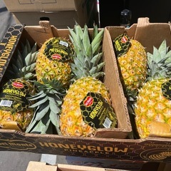 大好評極甘🍍ハニーグロー入荷しました！✨