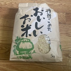 令和6年産  新米 宮城県産  ひとめぼれ 玄米  5ｋｇ  
