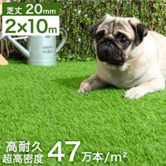 【未開封】✨芝生の画像