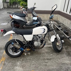 エイプ50の画像