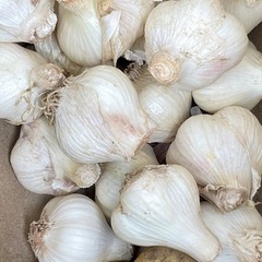 野菜、ニンニクお譲りします。