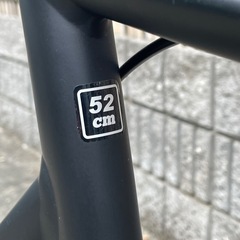 TERN SURGE ミニベロ　自転車の画像