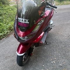 PCXJK05