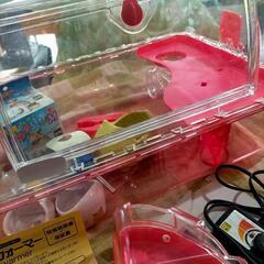 ハムスター飼育セット。パネルウォーマー8w付の画像