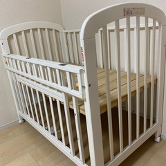 ベイビーベットの画像