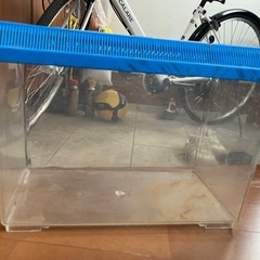 虫かご