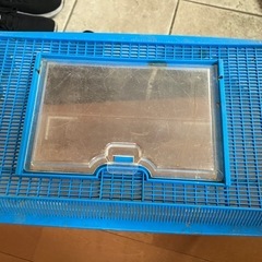 虫かごの画像