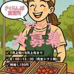さくらんぼ販売スタッフ