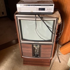 テレビ　明日まで