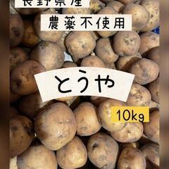 [農薬不使用]新じゃがいも　とうや　10kg