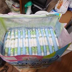 犬のオムツ値下げしました。の画像