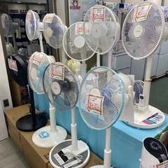 扇風機 サーキュレーター 大量入荷！の画像