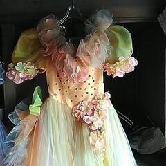 ﾛﾝｸﾞﾄﾞﾚｽ③の画像