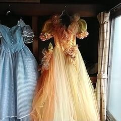 ﾛﾝｸﾞﾄﾞﾚｽ③の画像