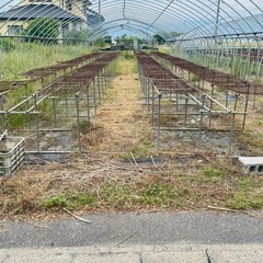 商品の説明をちゃんと見て下さい　パイプ骨組み　農業　園芸　フルーツ　野菜　ハウス栽培用　パイプ棚　苗植え付け　種子植え付け　ビニールハウス栽培　の画像