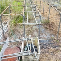 商品の説明をちゃんと見て下さい　パイプ骨組み　農業　園芸　フルーツ　野菜　ハウス栽培用　パイプ棚　苗植え付け　種子植え付け　ビニールハウス栽培　の画像