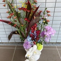 生花6
