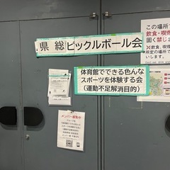 6/15沖縄市の県総体育館でピックルボール一緒にやりましょう