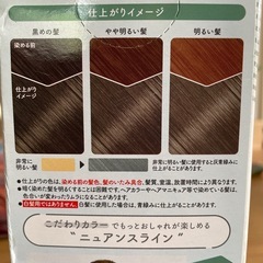 ビューティーラボ＊ピスタチオアッシュの画像