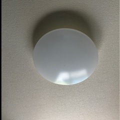 電球カバーとリモコンの画像