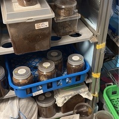 ラック　棚　物置　鉄製
