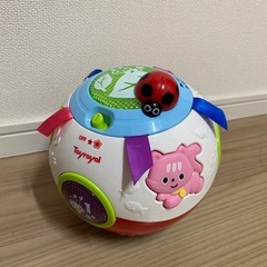 トイローヤル　　おいかけてコロコロボール