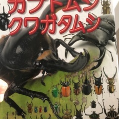 小学館の図鑑ＮＥＯカブトムシ・クワガタムシの画像