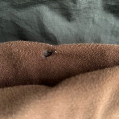 毛布　まとめ割引の画像