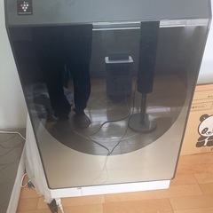 ドラム式洗濯乾燥機 シルバー系 ES-W113-SR [洗濯11...