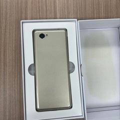 KAZUNA 翻訳機 ゴールドの画像