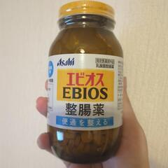整腸剤　エビオス　504錠