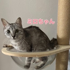 甘えん坊ガール♡