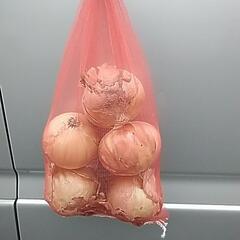 新玉ねぎ