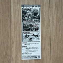 軽井沢おもちゃ王国　特別入園券　1枚の画像