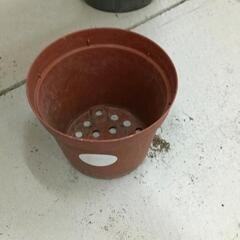 0609-130 【無料】 植木鉢