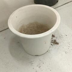 0609-127 【無料】 植木鉢